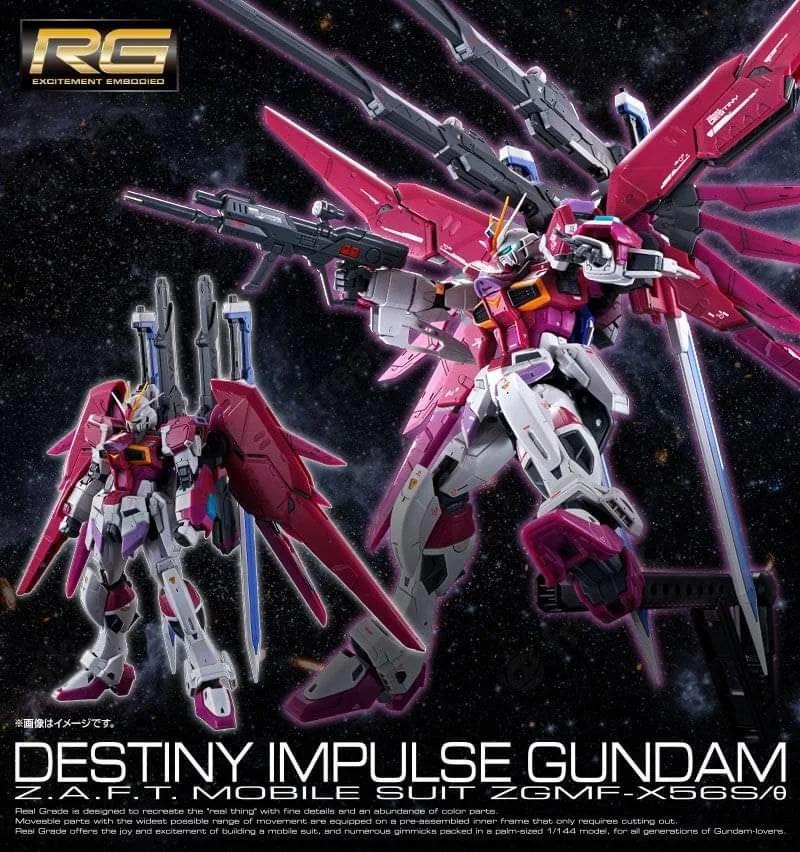 GUNDAM - RG 1/144 Destiny Impulse Gundam - Premium Bandai